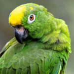 Top Amazon Automation Engineer Interview Questions and Expert Answers