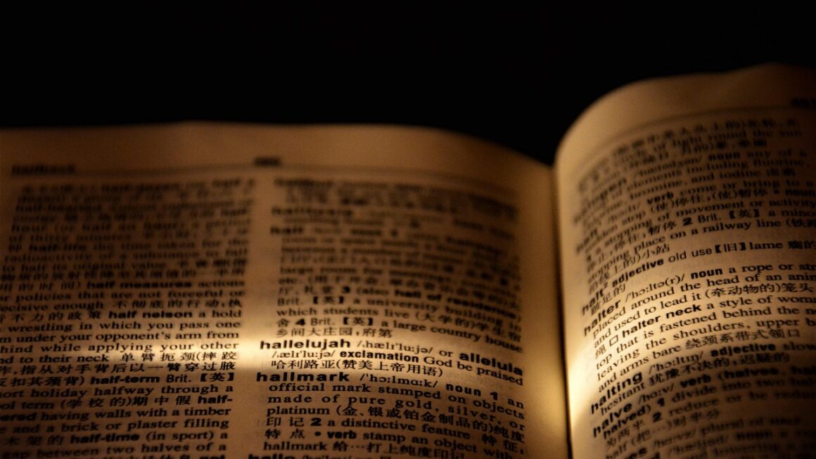 What Is Machine Learning? A Beginners Guide to Understanding the Basics